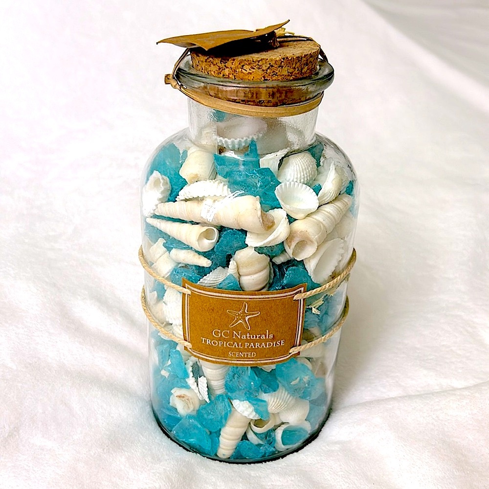 🖤NWT💕GC Natural tropical Paradise Scented Seaglass and Seashell in jar